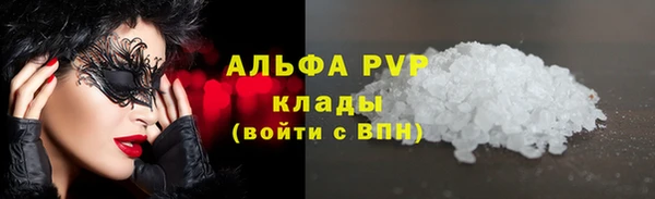 spice Бикин